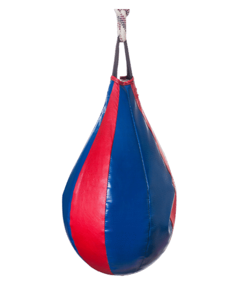Tri-Strike Speed Bag