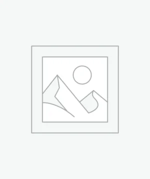 Uncategorized